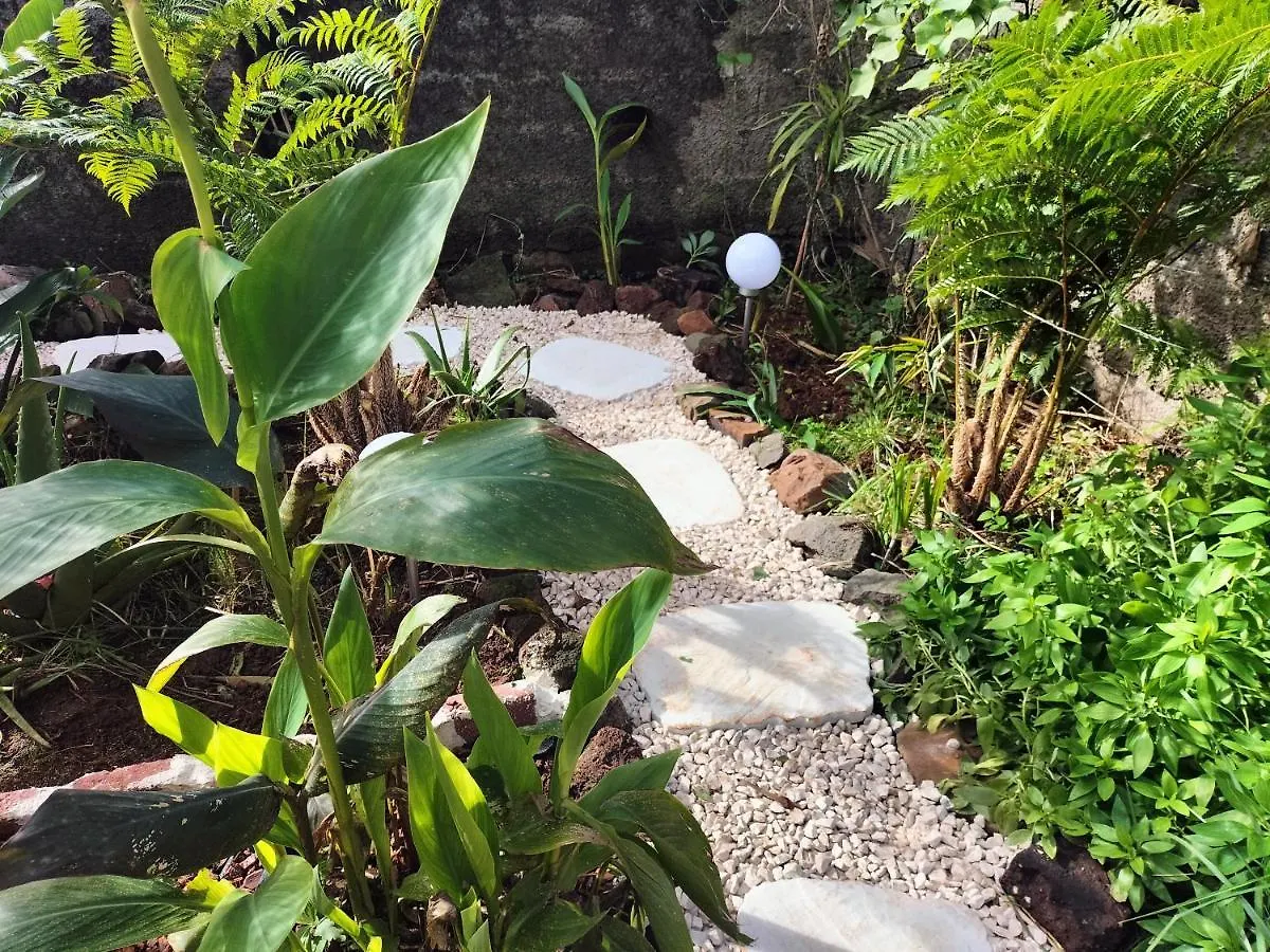 マシコ Sea Mountain Houseヴィラ 別荘